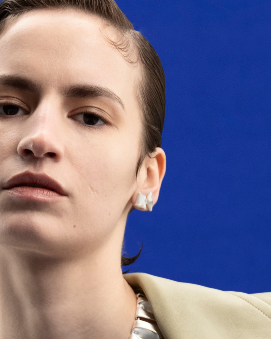 Fylgia Earrings silver