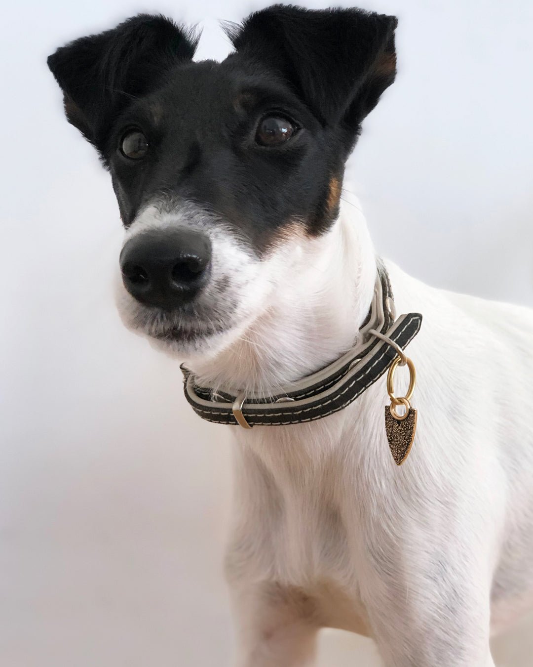 Elämän roihu -lemmikkikoru