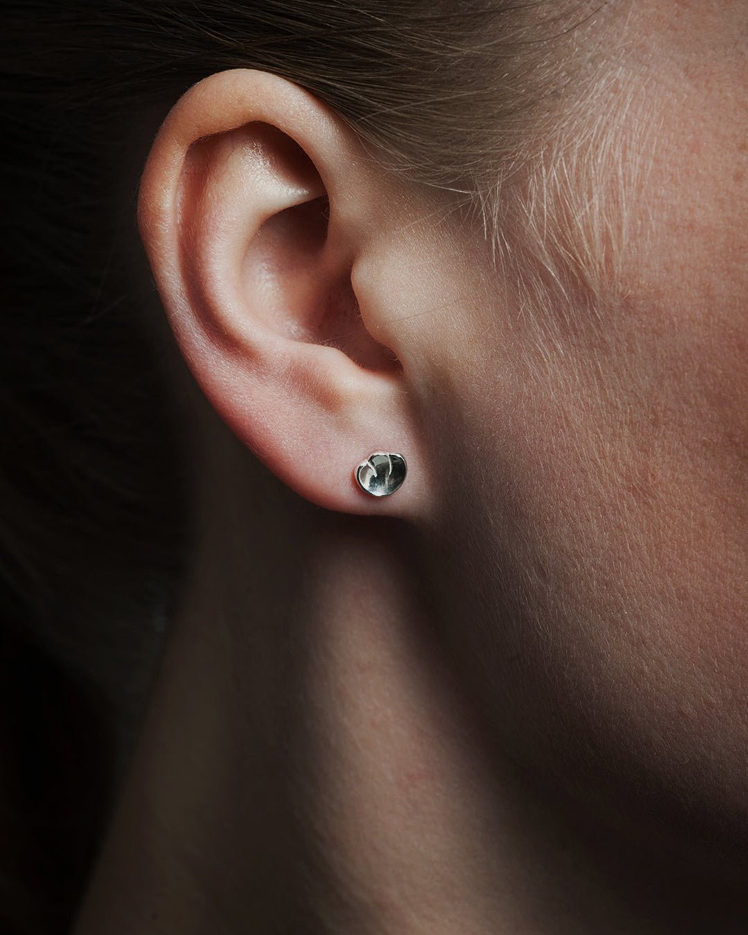 Wings Earrings silver