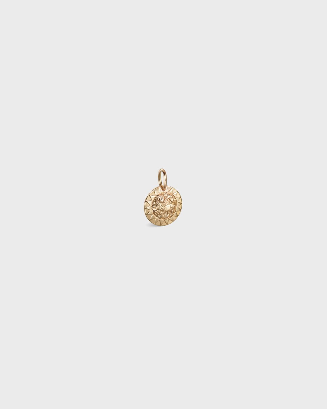 Amulet Charm small Sun Lion gold