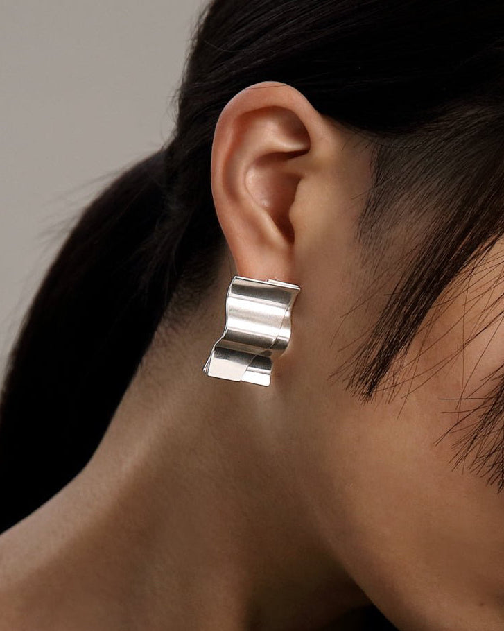 Alluring Earrings silver