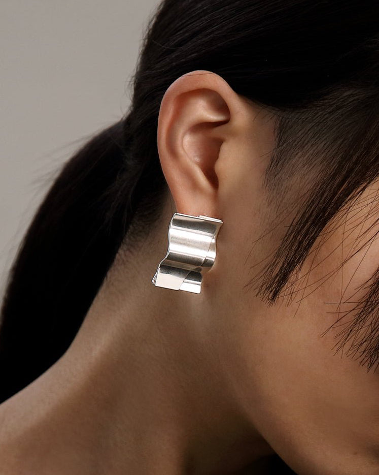 Alluring Earrings bronze