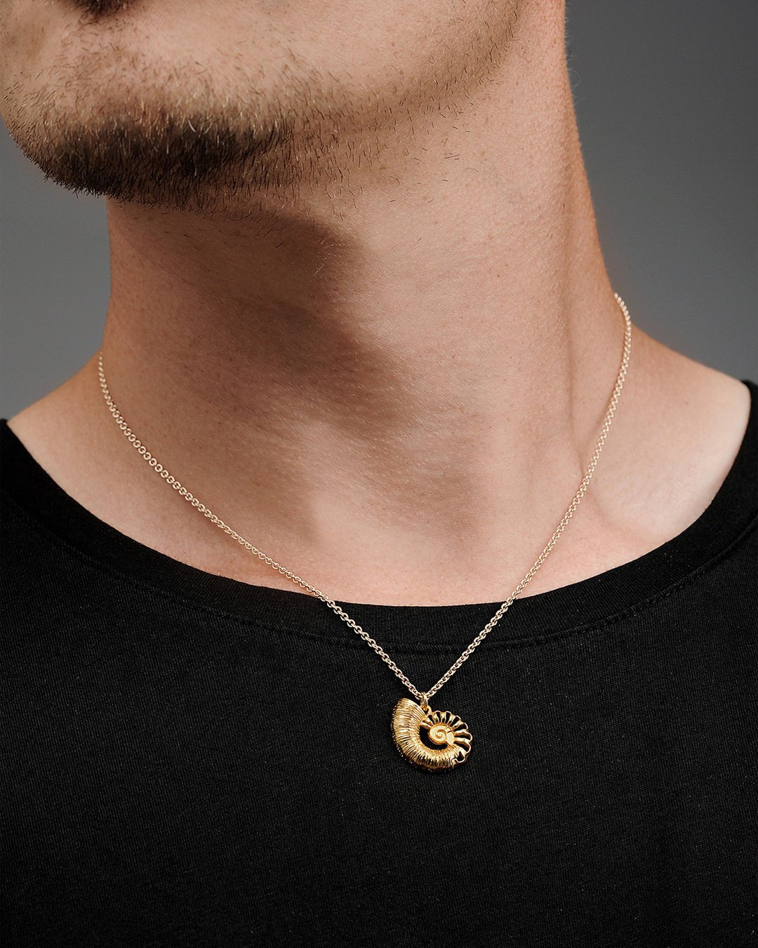 Evolution series by Nightwish -hela