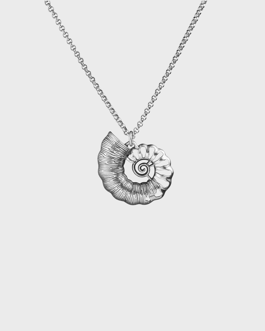 Evolution series by Nightwish -riipus