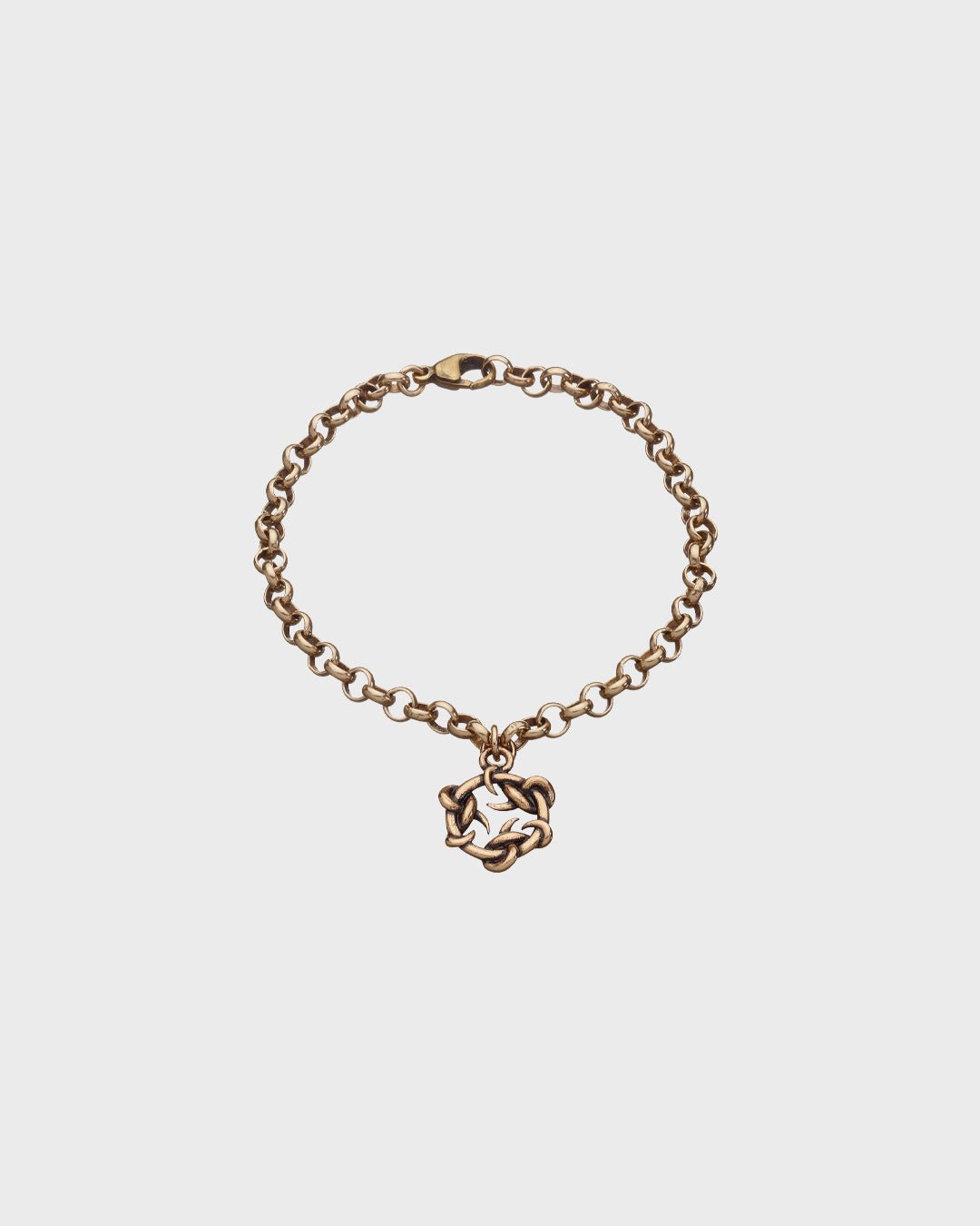 Tulipyöra-hela 2009